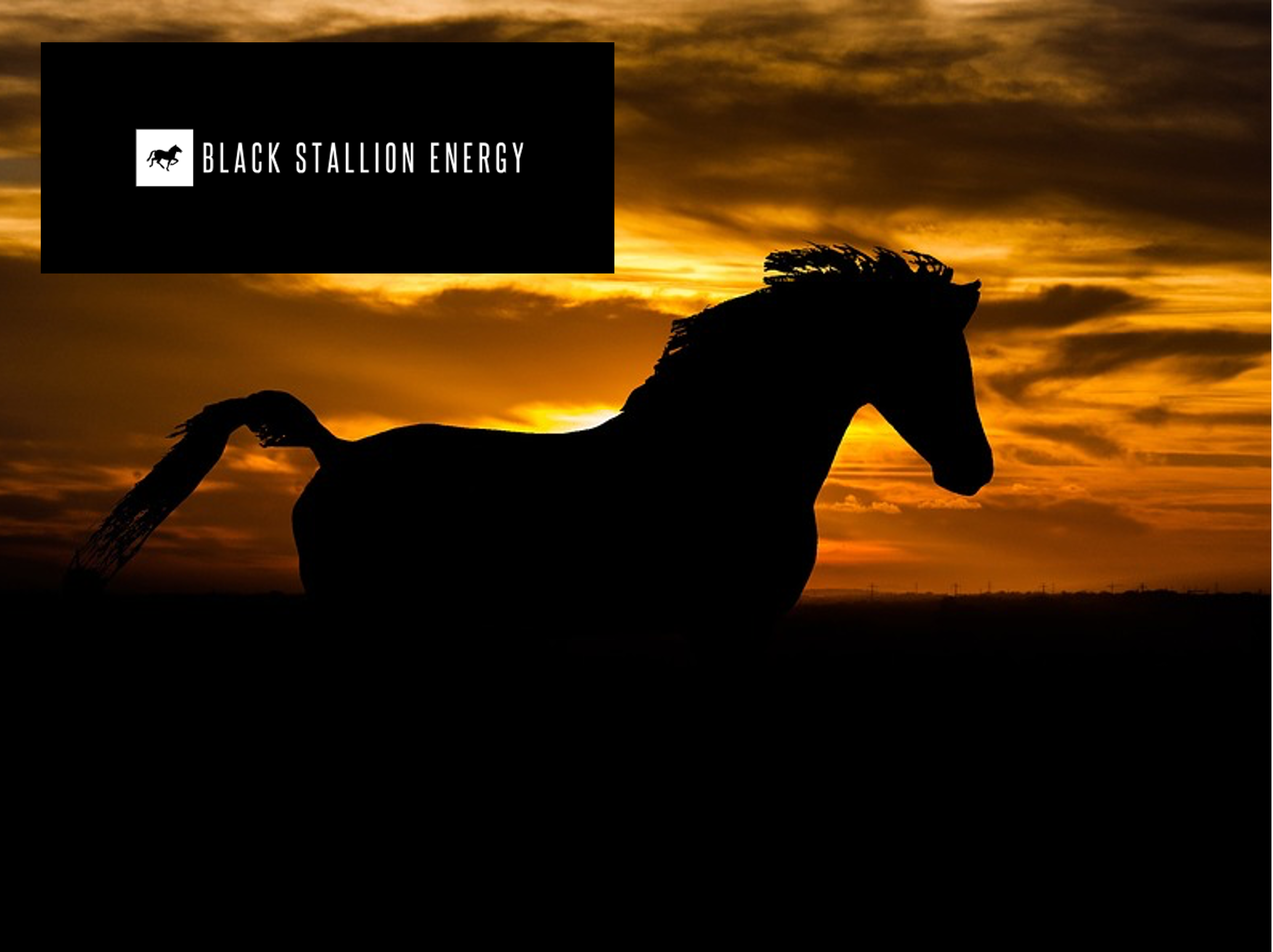 Black Stallion Energy